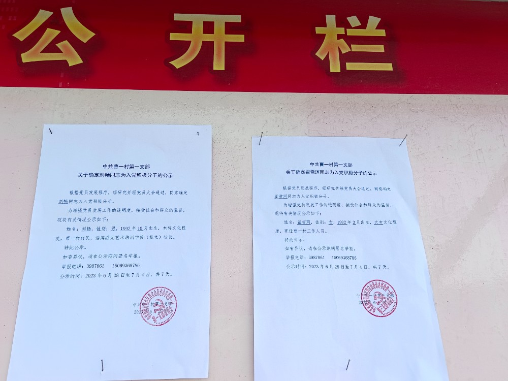 积极分子公示